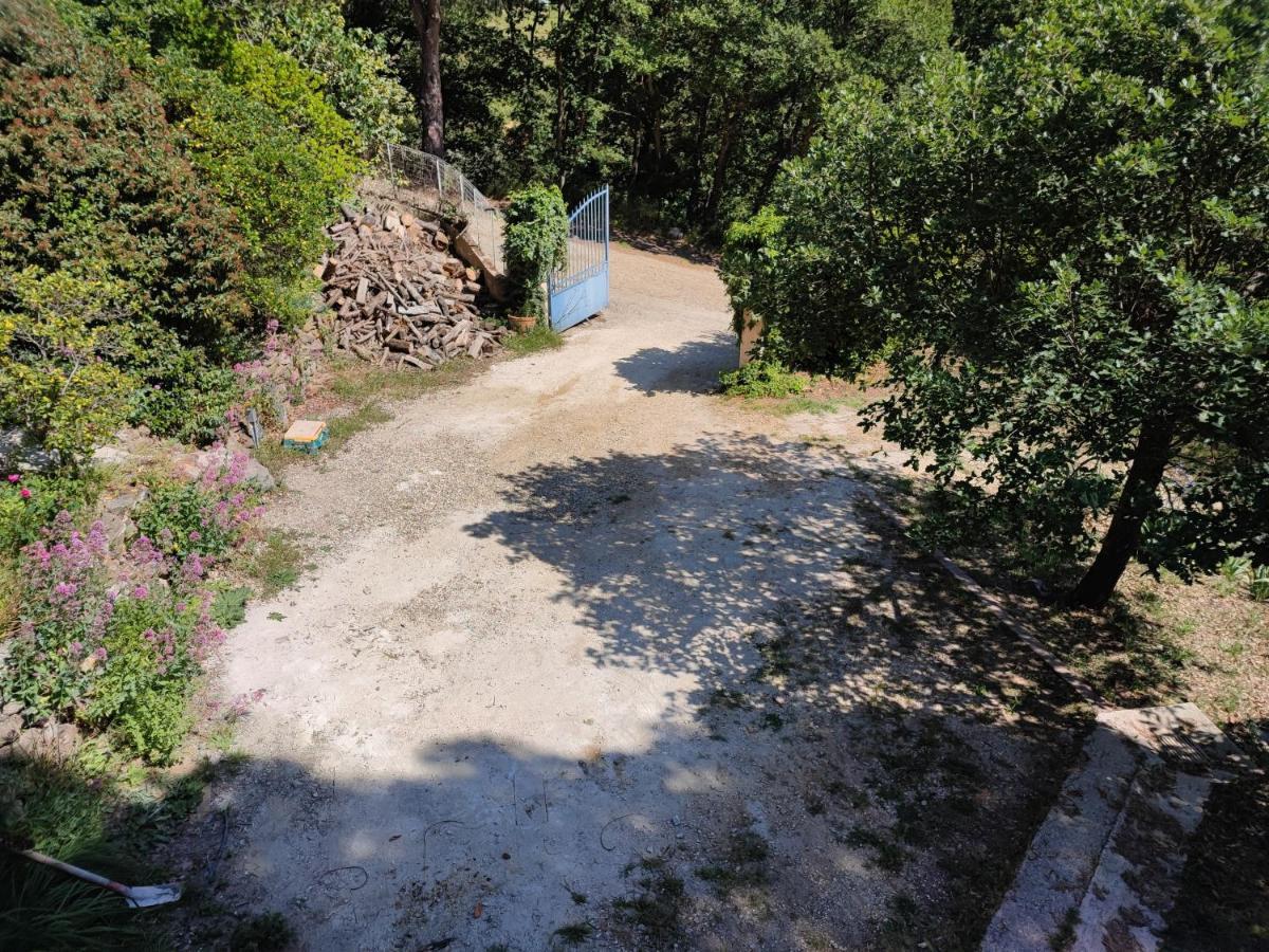 Appartement En Pleine Nature Avec Piscine Chauffee Collobrières 외부 사진