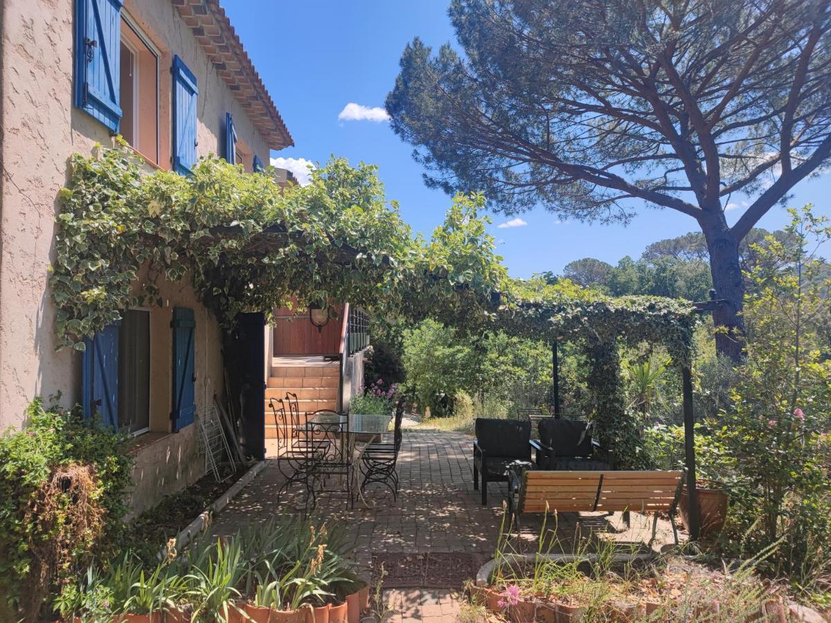 Appartement En Pleine Nature Avec Piscine Chauffee Collobrières 외부 사진