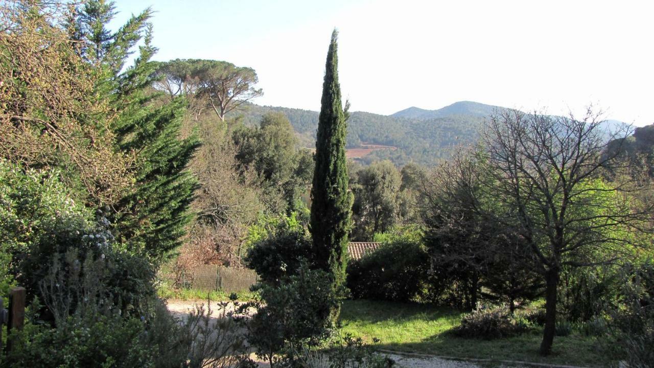 Appartement En Pleine Nature Avec Piscine Chauffee Collobrières 외부 사진