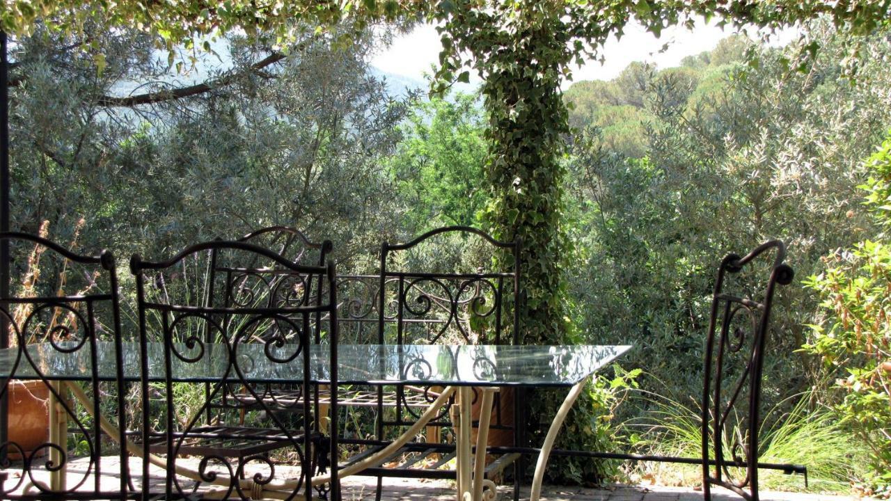 Appartement En Pleine Nature Avec Piscine Chauffee Collobrières 외부 사진